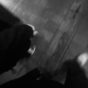 日本人一二三区性群交
