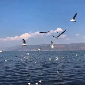 日本人一二三区性群交
